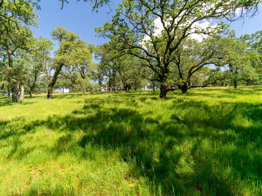 6605 Western Sierra (lot 154) Way, El Dorado Hills, CA 95762 - #2