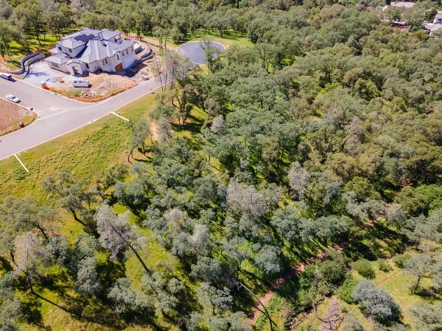 4125 Raphael (lot 99b) Drive, El Dorado Hills, CA 95762 - #3