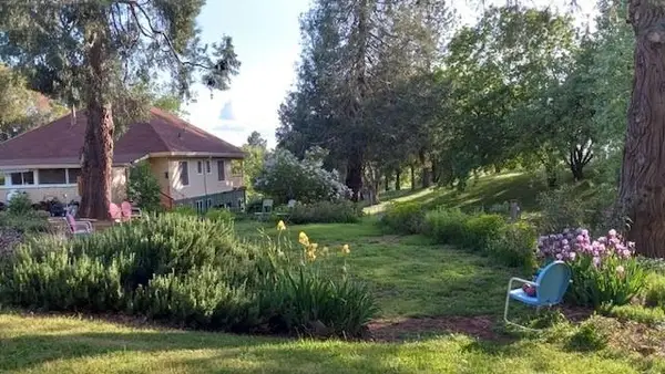 15579 Jesus Maria, Mokelumne Hill, CA 95245