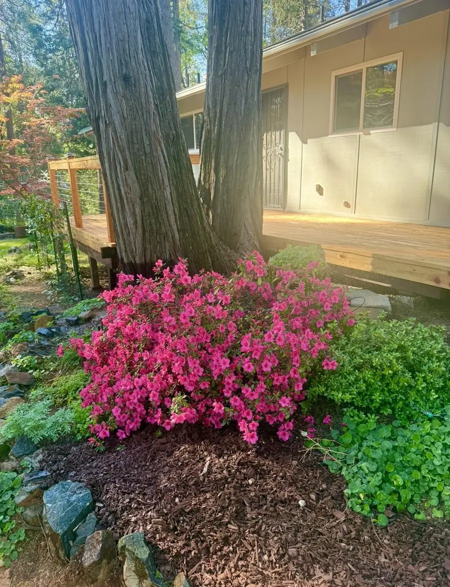 12894 Banner Lava Cap Road, Nevada City, CA 95959 - #3