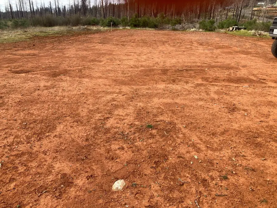 10196 Grizzly Flat Road, Grizzly Flats, CA 95636 - #3