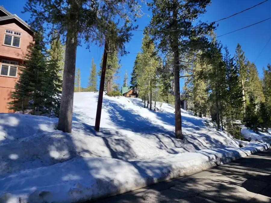 50926 Conifer Drive, Soda Springs, CA 95728 - #2