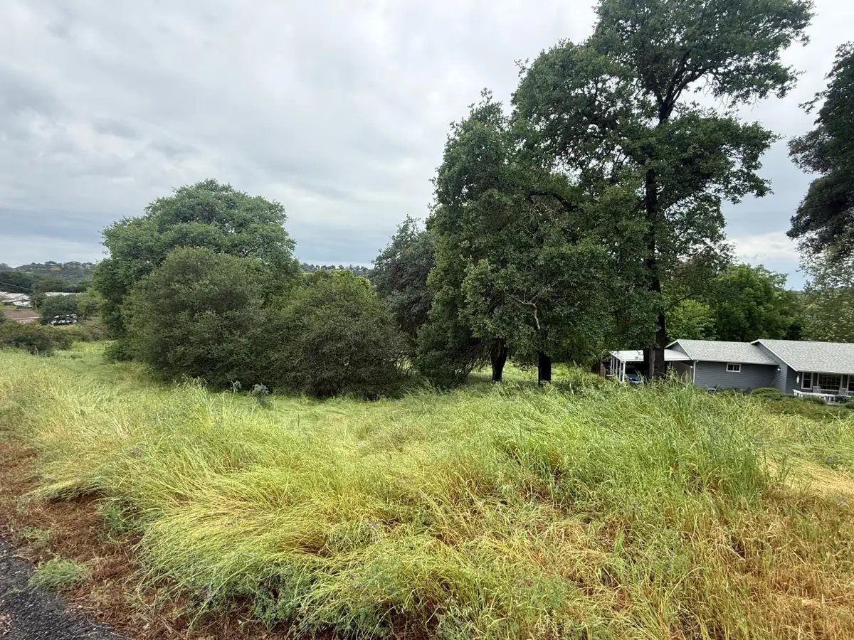 3136 Heinemann Drive, Valley Springs, CA 95252 - #1