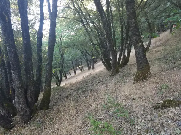 16424 Annie Drive, Grass Valley, CA 95949