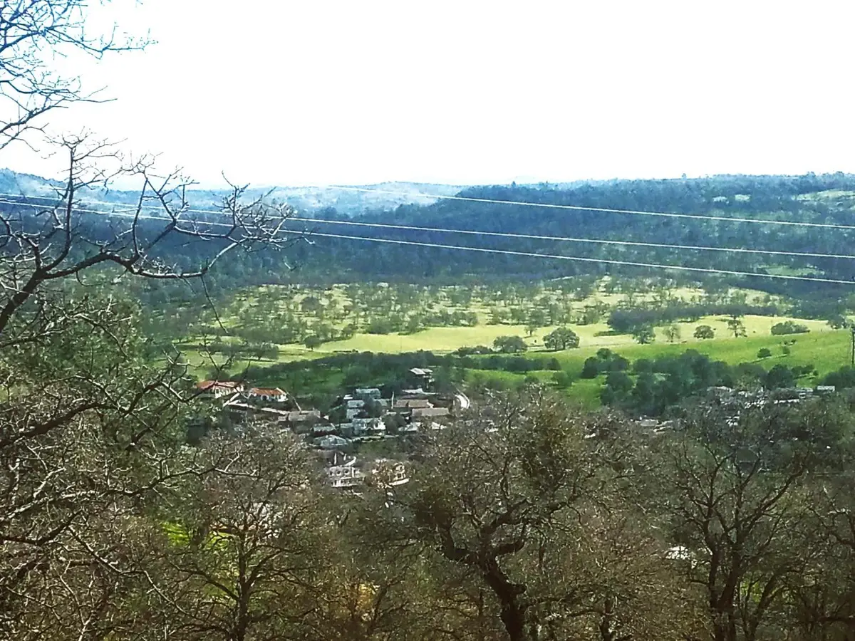 3980 Arrowhead Street, Copperopolis, CA 95228 - #1