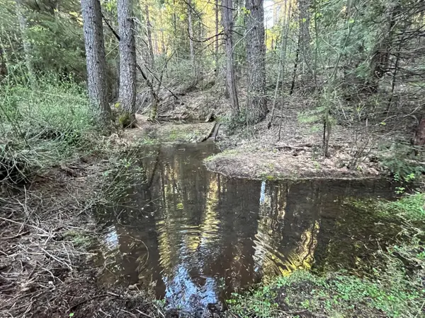 18035 Mobley Springs Road, Nevada City, CA 95959