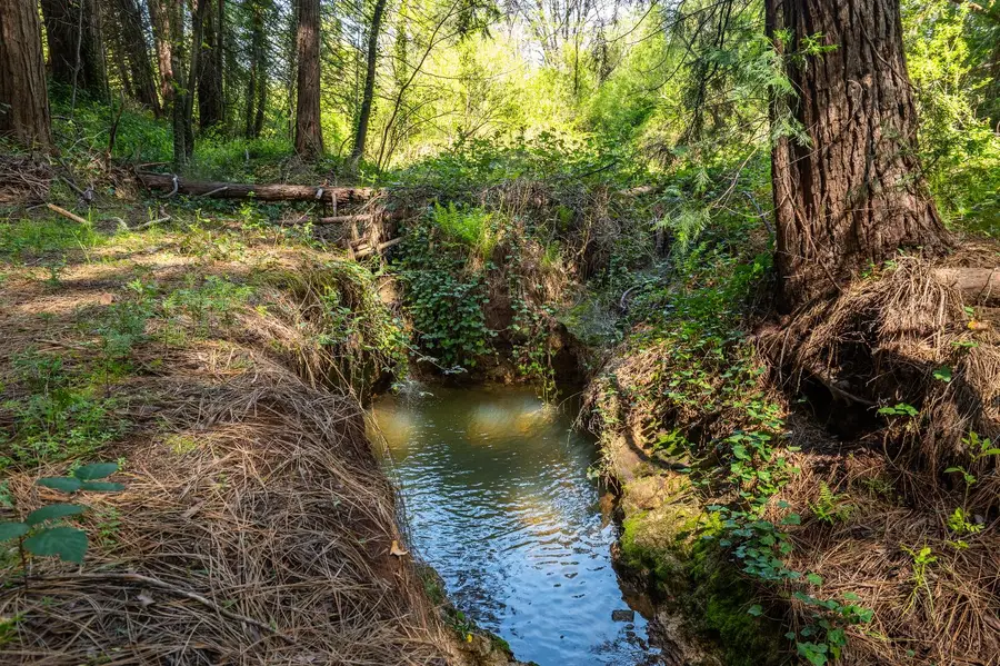 202 Gold Flat Road, Nevada City, CA 95959 - #2