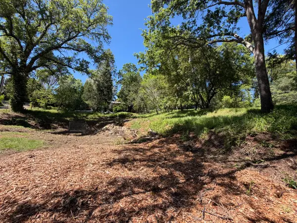 0 Lincoln Alley, Placerville, CA 95667