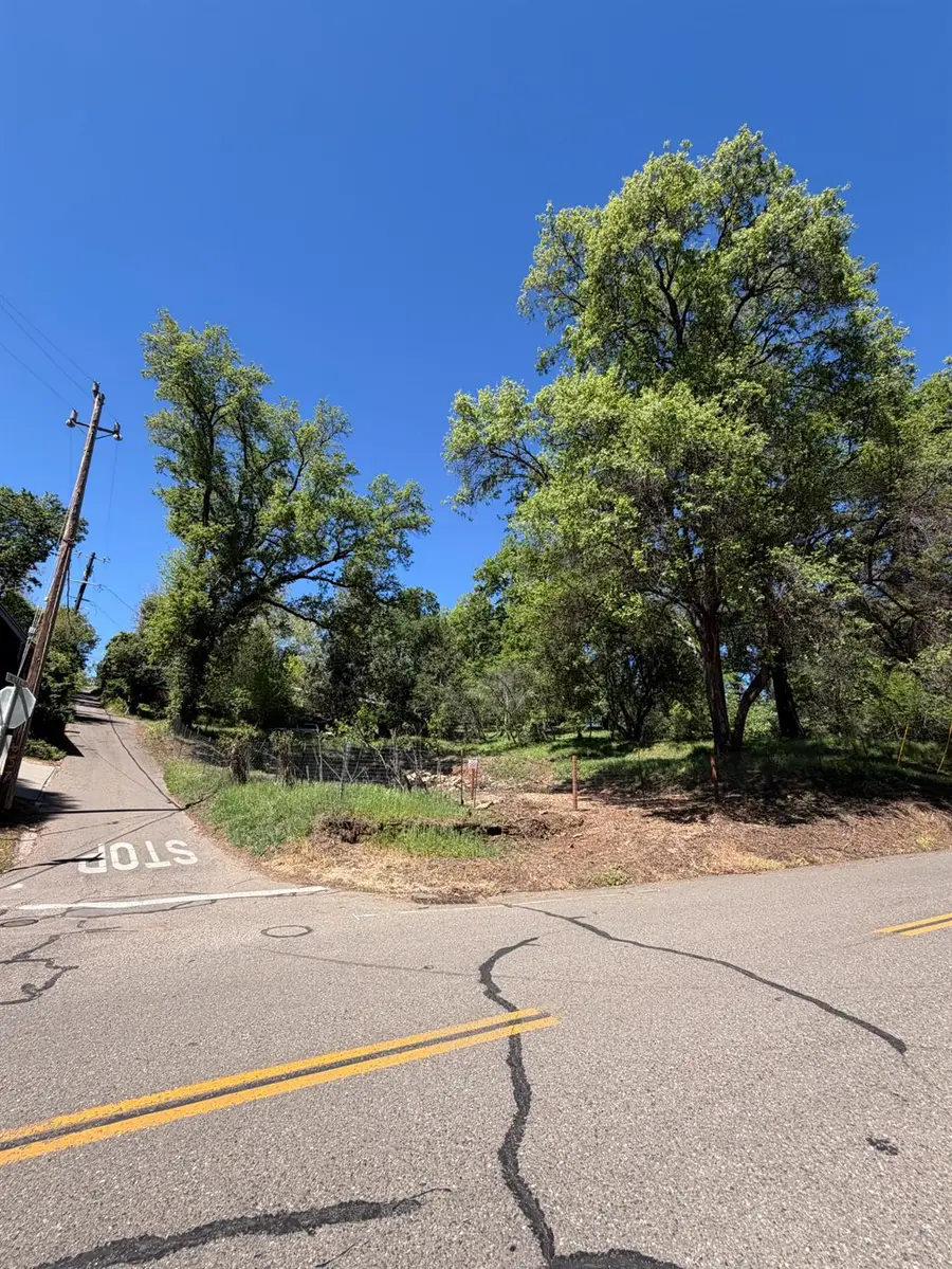 0 Lincoln Alley, Placerville, CA 95667 - #2