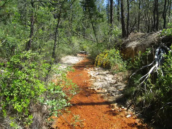 15699 Tyler Foote Road, Nevada City, CA 95959