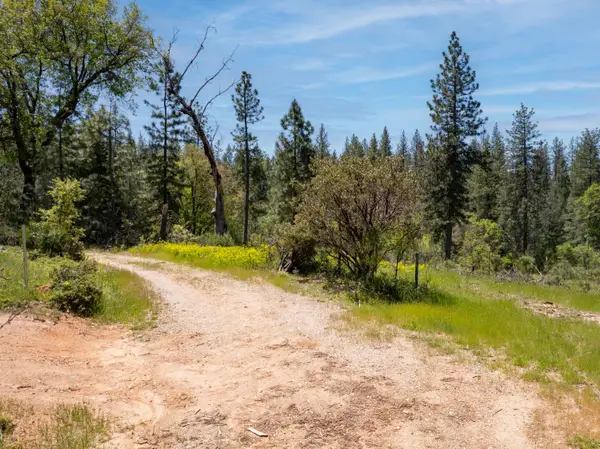 5199 Lone Star Road, Wilseyville, CA 95257