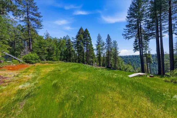 13907 Lightning Tree Road, Nevada City, CA 95959