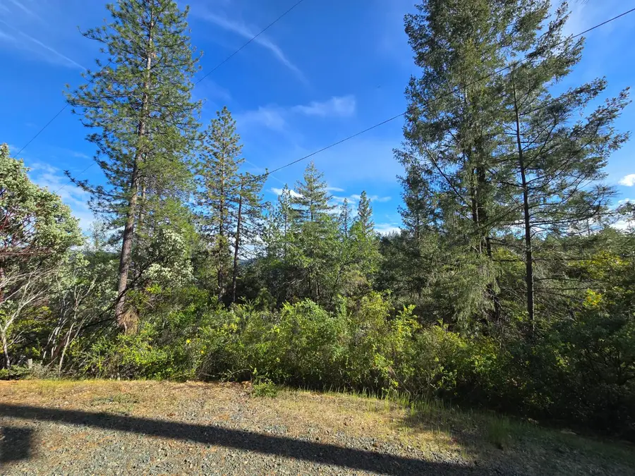 0 P C Lane, Colfax, CA 95713 - #3