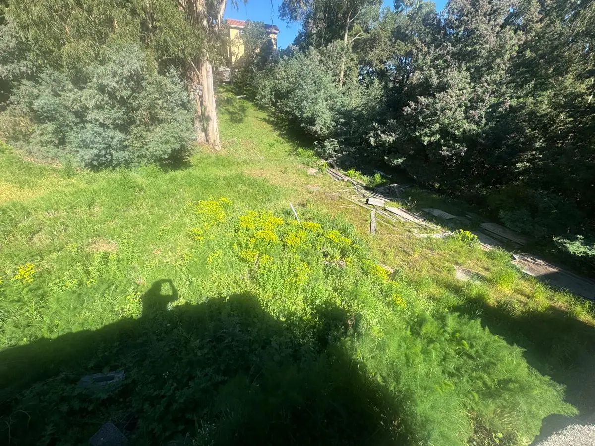 164 Sheridan Road, Oakland, CA 94603 - #1