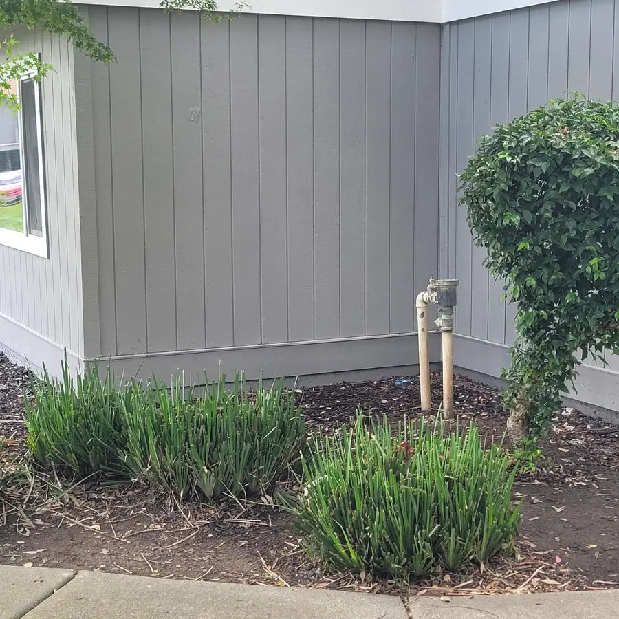 5935 Bamford Drive, Sacramento, CA 95823 - #3