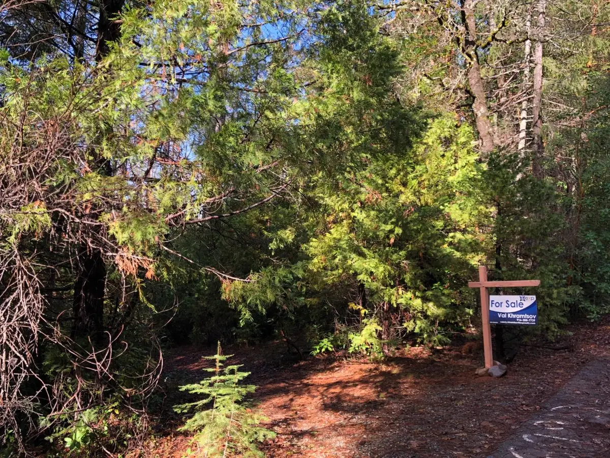 0 Whispering Pines, Challenge, CA 95941 - #1