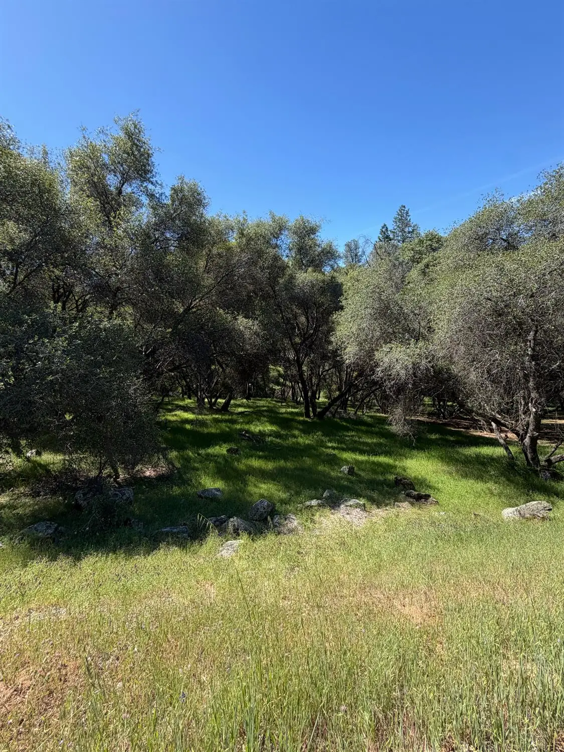 11500 Buckeye Cir, Penn Valley, CA 95946 - #1