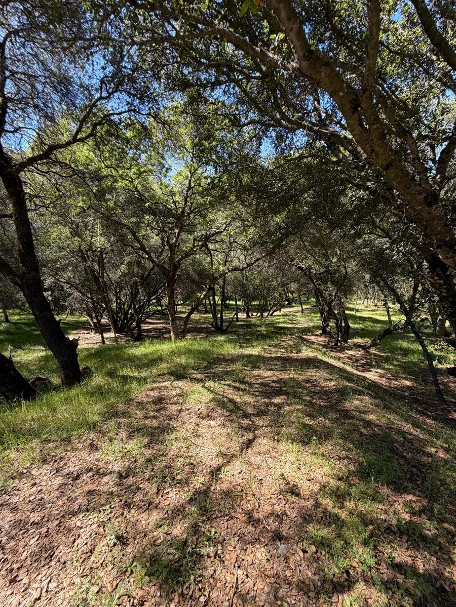 11500 Buckeye Cir, Penn Valley, CA 95946 - #3