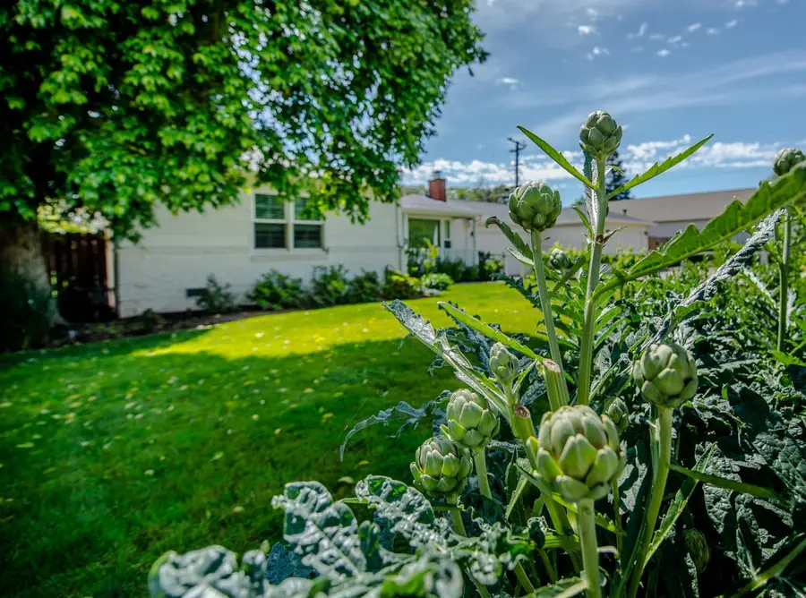 3310 Potter Lane, Sacramento, CA 95821 - #3