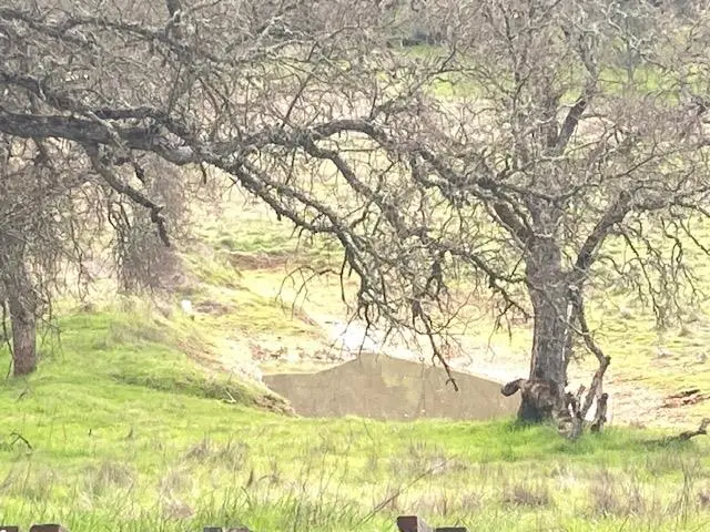 10601 Acorn Lane, Angels Camp, CA 95222 - #2