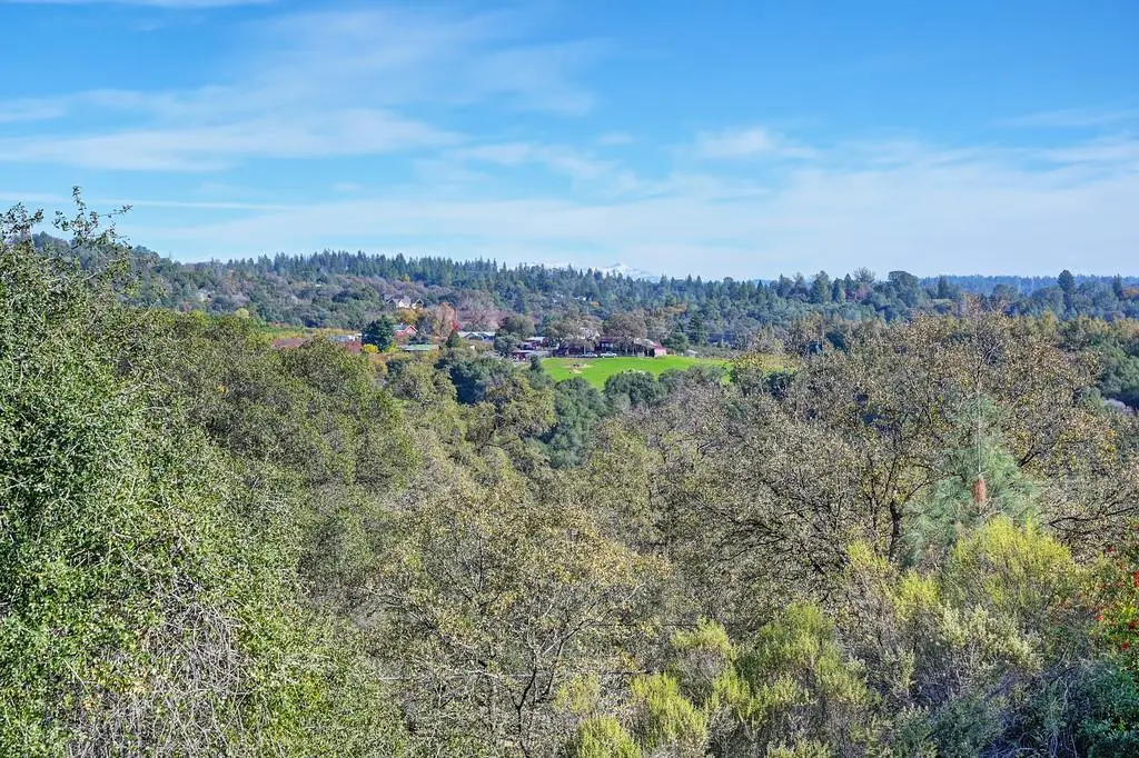 1244 Cold Springs, Placerville, CA 95667 - #1