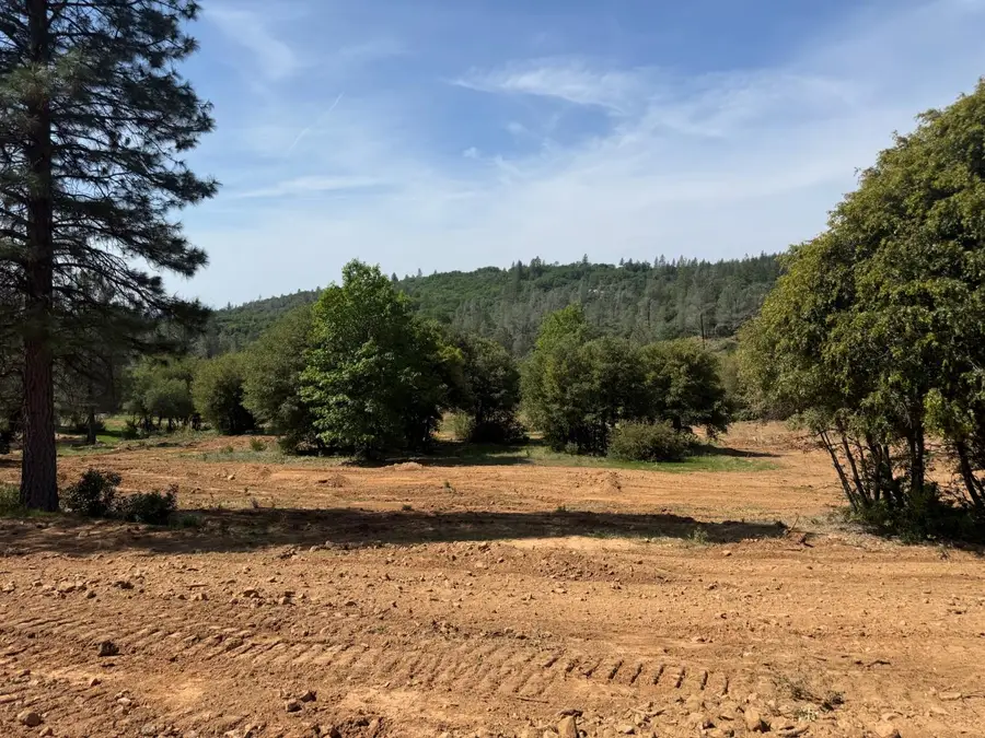 0 Greenbush Rd, Forbestown, CA 95941 - #3