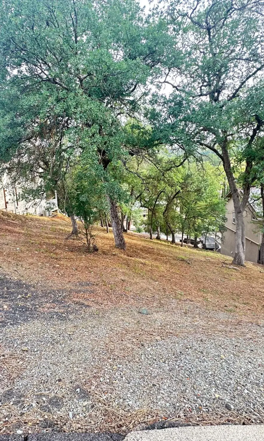 423 Winchester Way, Copperopolis, CA 95228 - #2