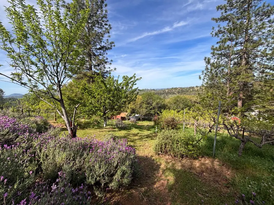 10285 Ponderosa Way, Pine Grove, CA 95665 - #3