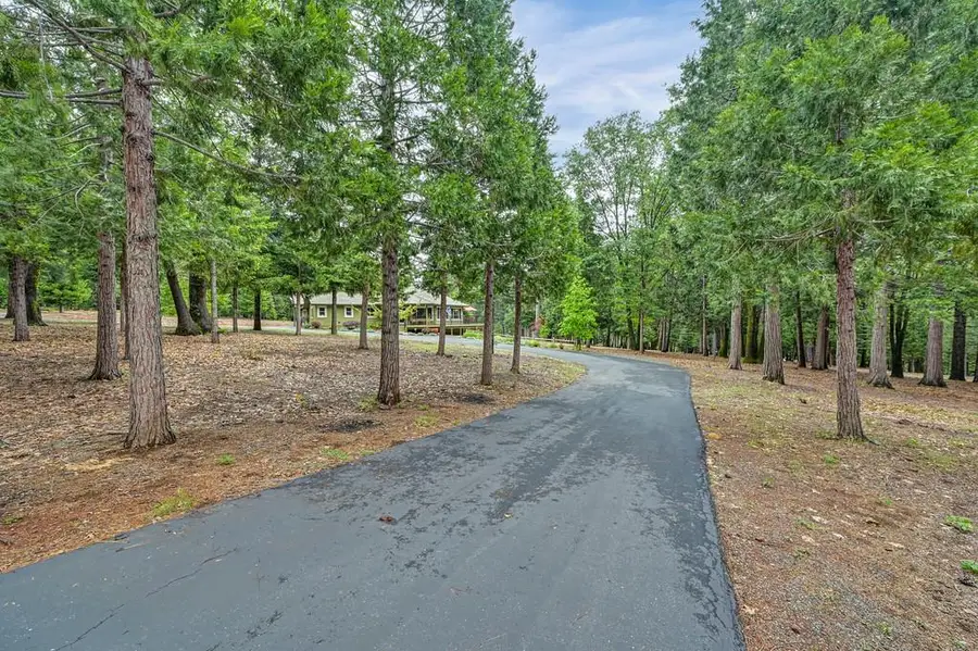 29082 Ridge View Road, Foresthill, CA 95631 - #3