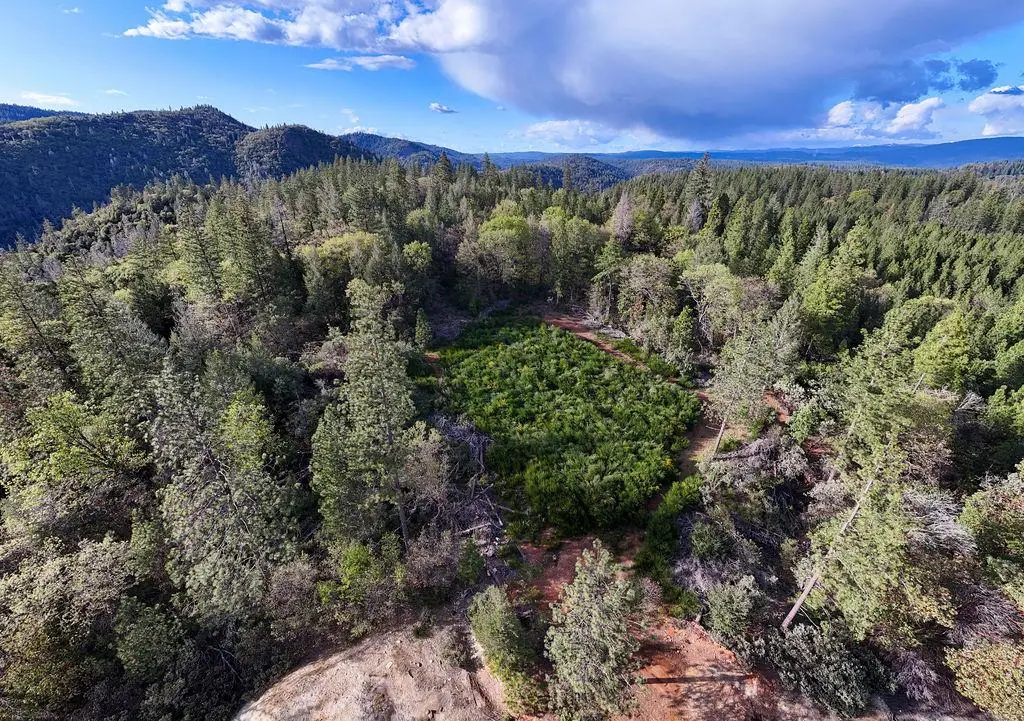 11192 Sebastopol Road, North San Juan, CA 95960 - #1