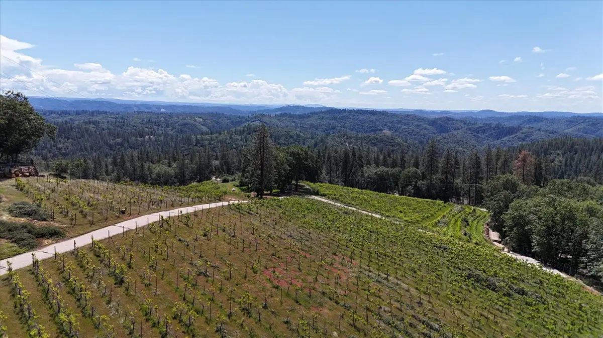 19698 View Forever Lane, Grass Valley, CA 95945 - #1