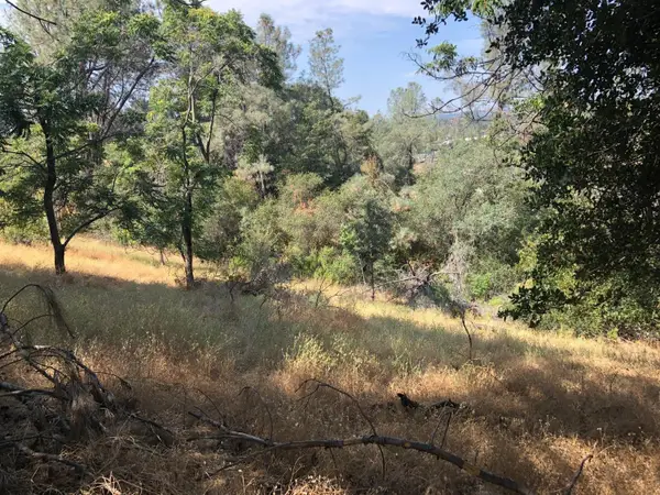 3075 Gold Nugget Way, Placerville, CA 95667