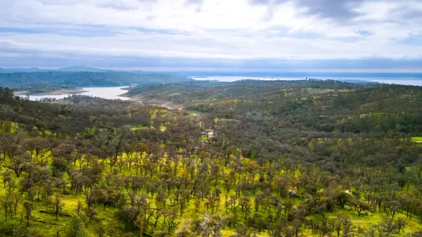 0 40 Acres Ascension Lane, Pilot Hill, CA 95664