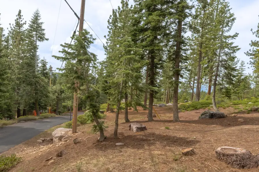 1315 Skyline Drive, Arnold, CA 95223 - #2