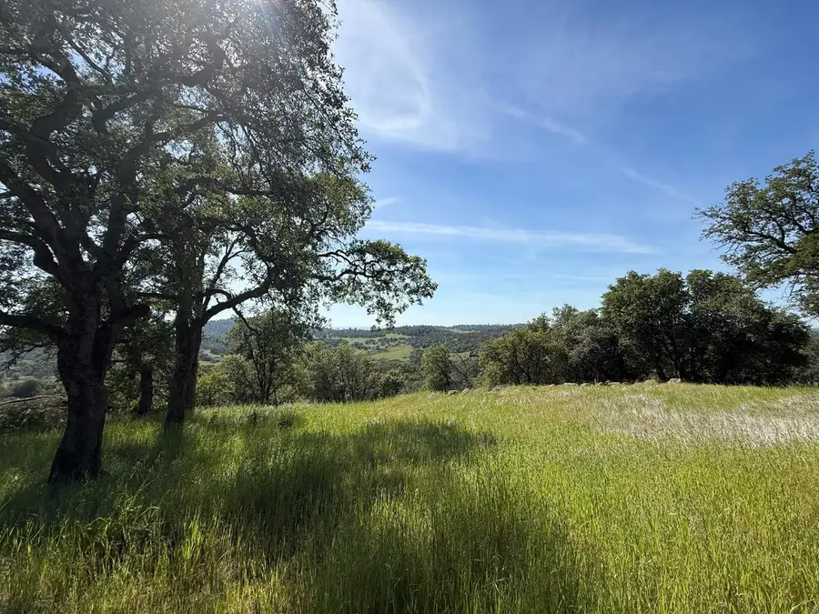 11370 Chanterelle Lane, Smartsville, CA 95977 - #2