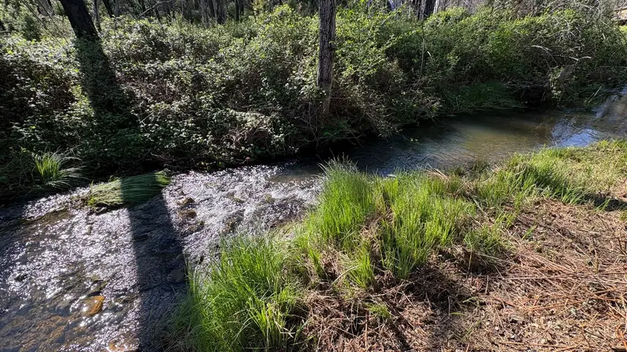 20976 Clydesdale Road, Grass Valley, CA 95949 - #3