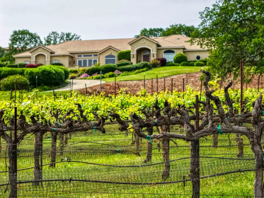 5192 Laird Road, Loomis, CA 95650 - #2