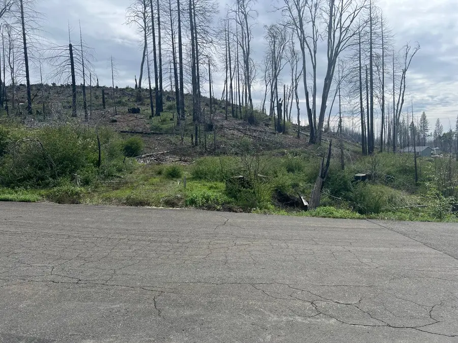 7352 Winding Way, Grizzly Flats, CA 95636 - #2