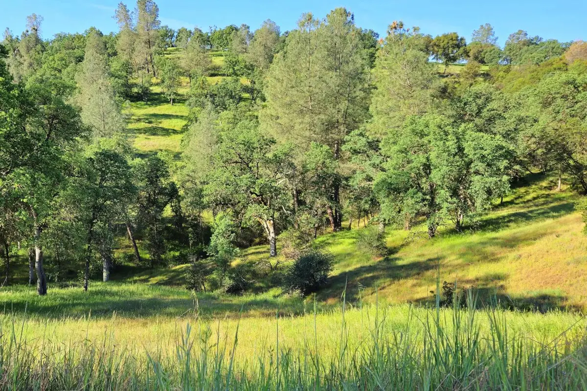 0 Boneyard Creek Road, Coulterville, CA 95311 - #1
