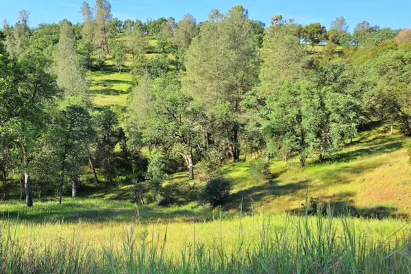 0 Boneyard Creek Road, Coulterville, CA 95311