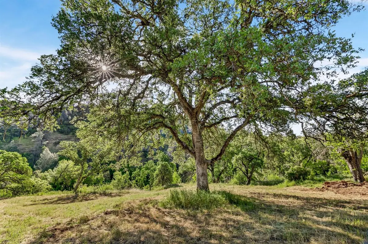 5595 Dream Valley Road, Red Bluff, CA 96080 - #1