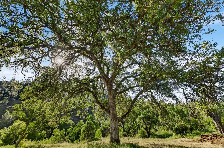 5595 Dream Valley Road, Red Bluff, CA 96080 - #2