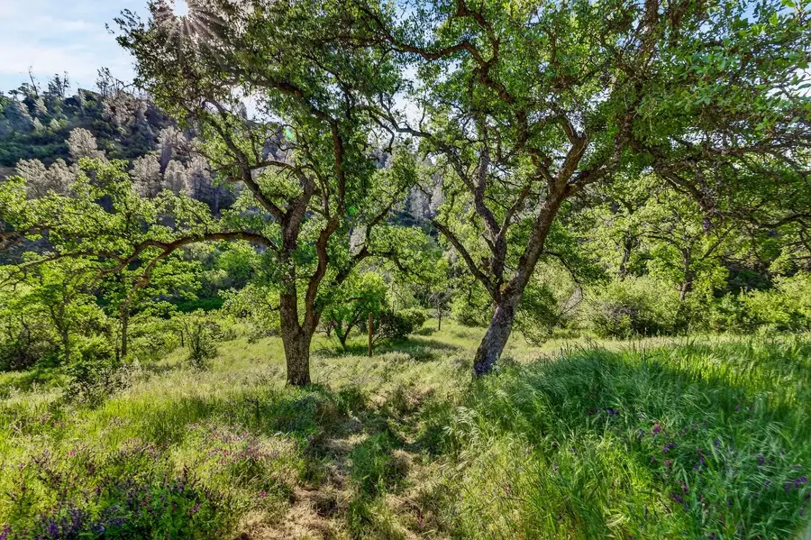 5595 Dream Valley Road, Red Bluff, CA 96080 - #3