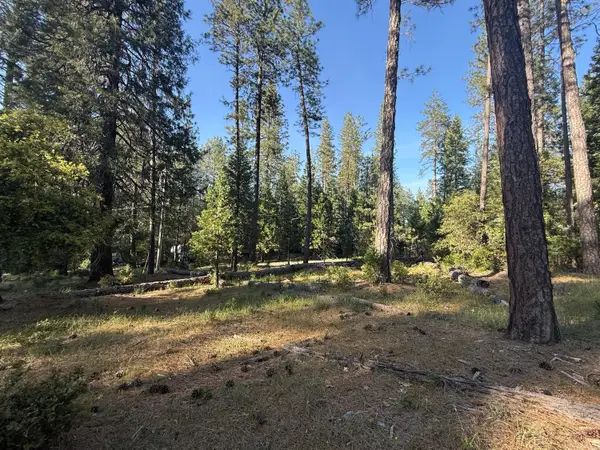 0 Pine Cone Lane, Meadow Vista, CA 95602