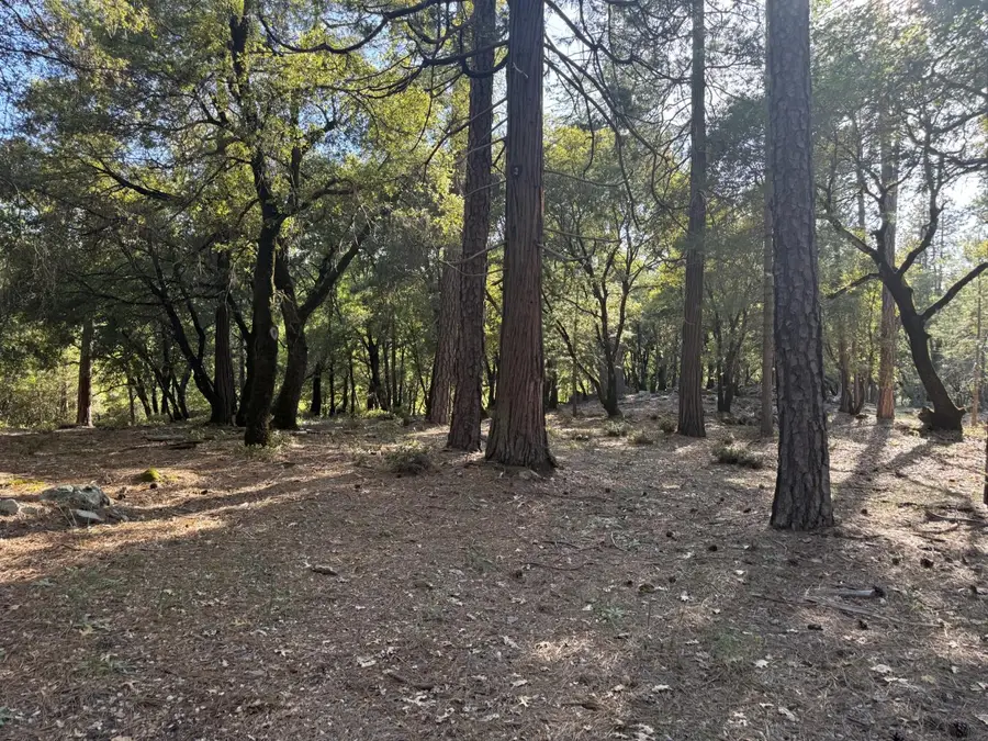 0 Pine Cone Lane, Meadow Vista, CA 95602 - #3