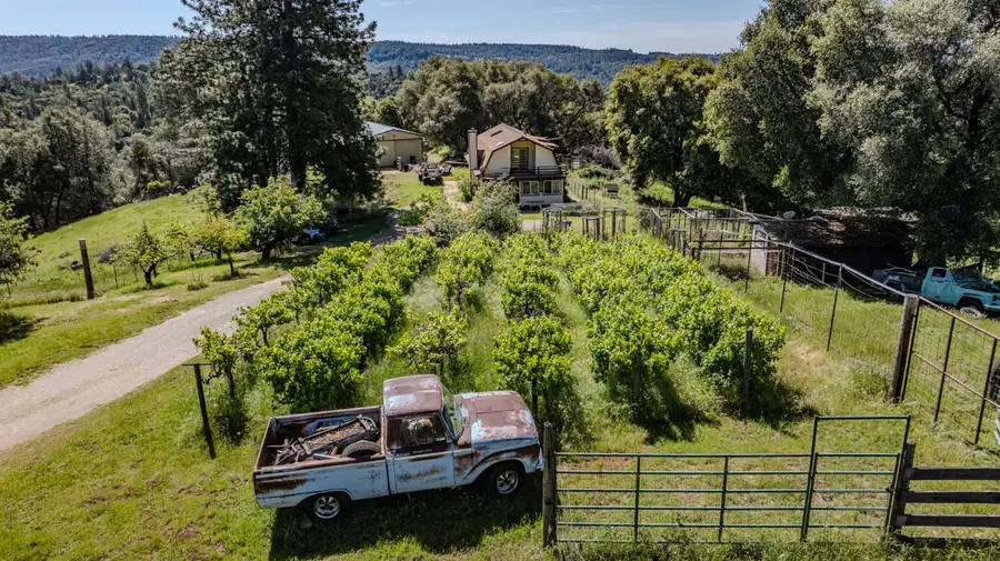 17800 Red Mule Road, Fiddletown, CA 95629 - #3