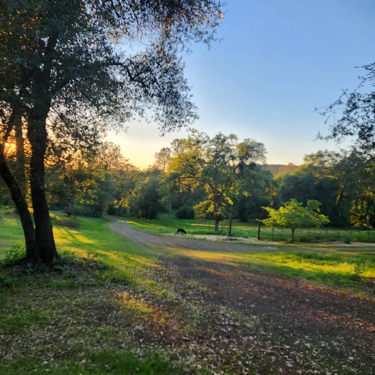 11541 Hernandos Hideaway, Penn Valley, CA 95946 - #1