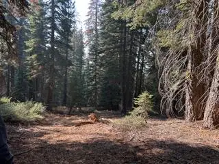 23 Blue Rock Trail, Dorrington, CA 95223 - #3