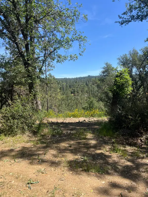 3790 State Highway 193, Greenwood, CA 95635