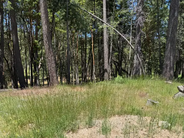 20955 Todd Valley Road, Foresthill, CA 95631